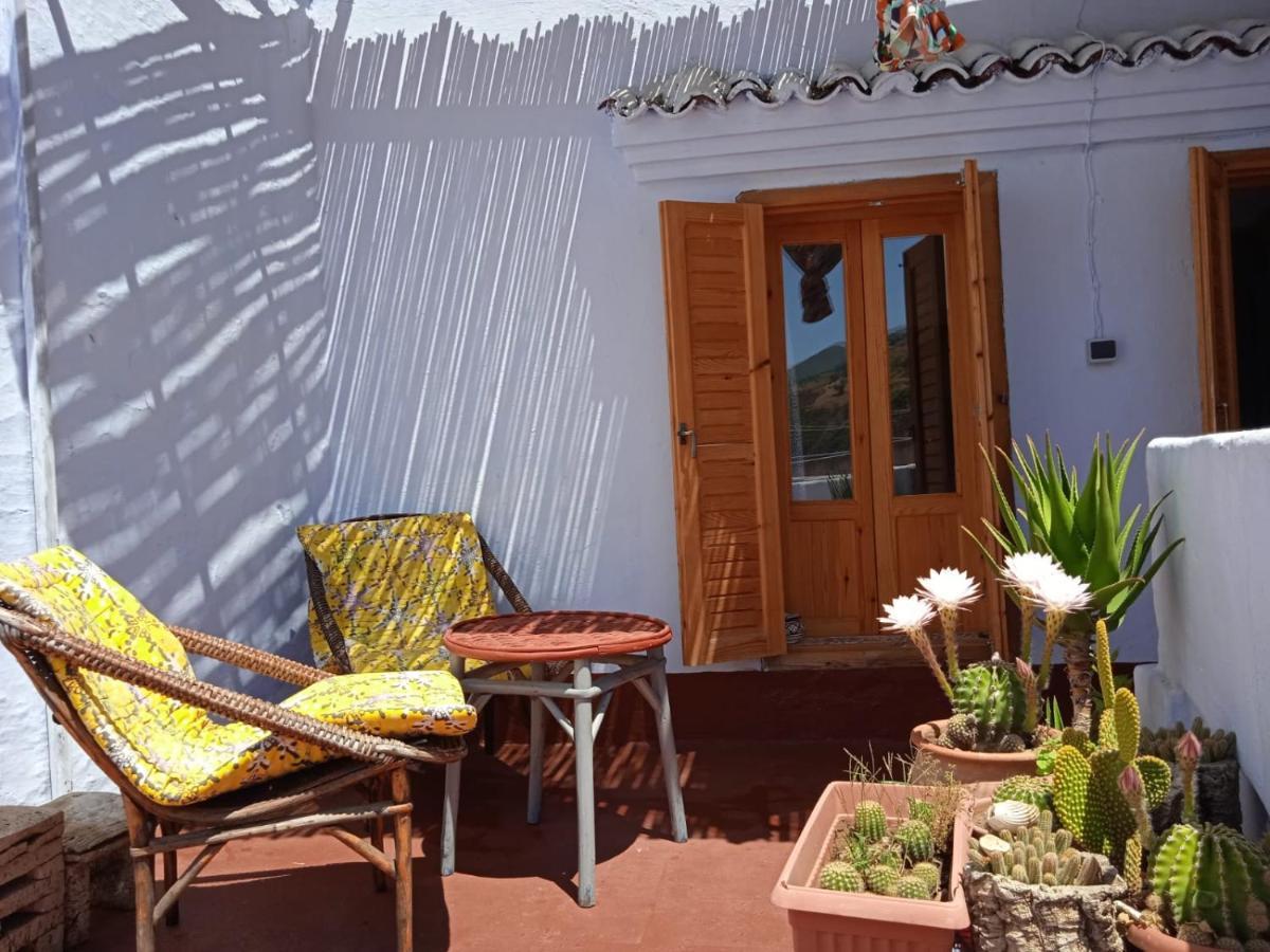 Vallparadis Pension Familiar" Firdaus" เชฟชาอูน ภายนอก รูปภาพ